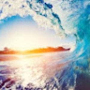 Meet your Posher, Artur